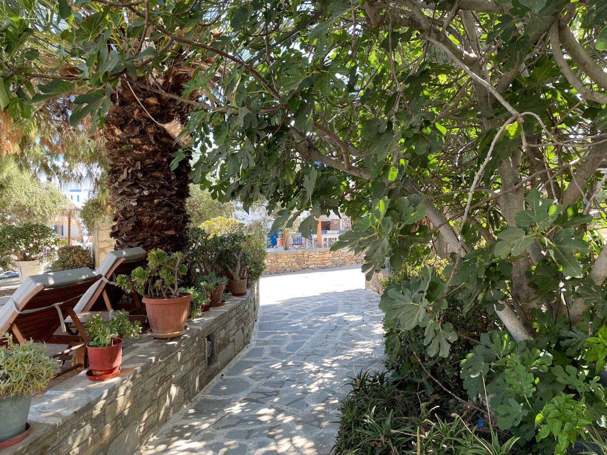 Ioanna Apartments Agios Prokopios  Exteriér fotografie